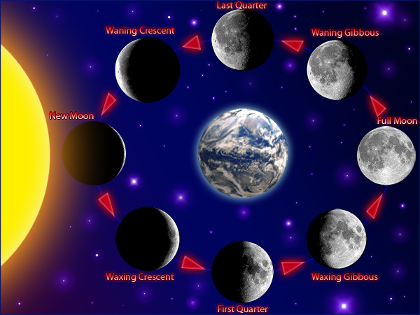 Phases of the Moon